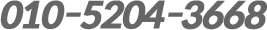 010-5204-3668